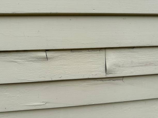 Trusted Reese, MI Junk Removal Experts
